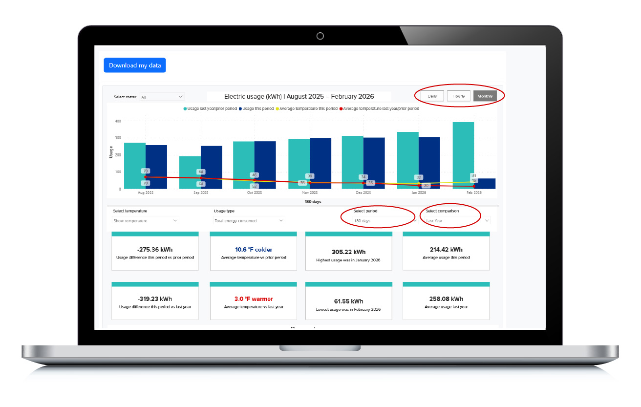 screen shot of detailed energy usage displayed on a lap top